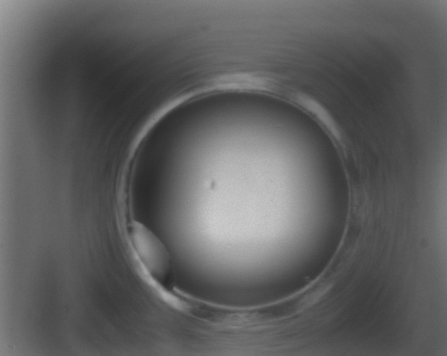 X0000083011387200702091239