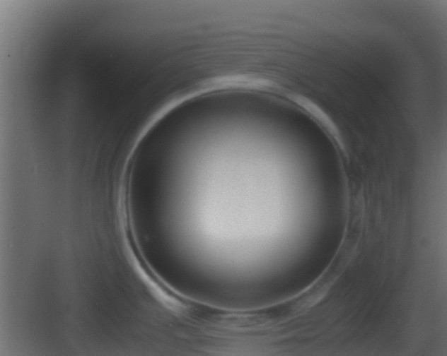 X0000083011391200702091239