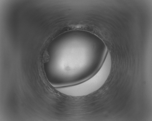 X0000083011393200702091238