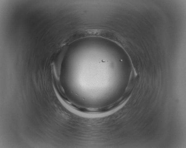 X0000083011394200702091238