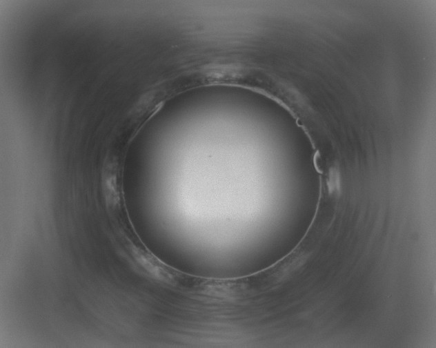 X0000083011396200702091238