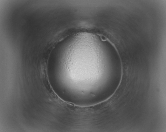 X0000083011397200702091238