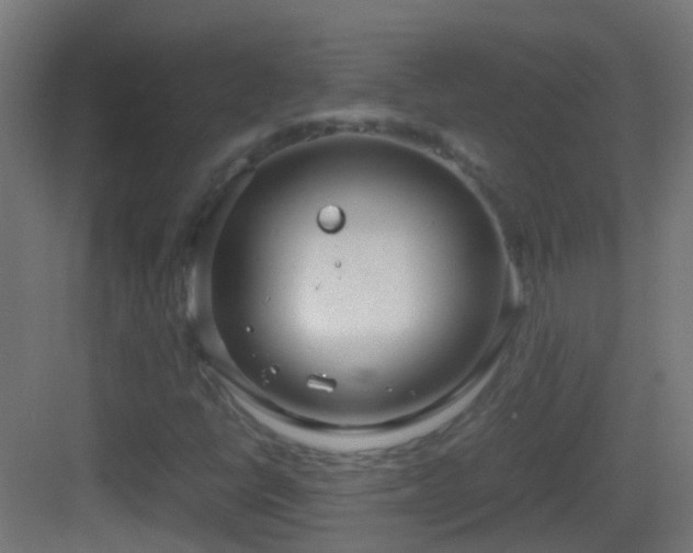 X0000083011398200702091238