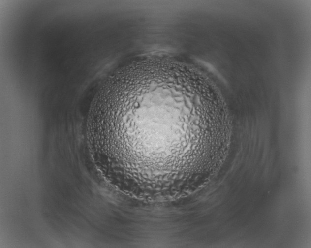 X0000083011399200702091238