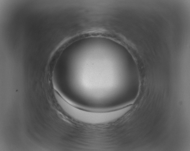 X0000083011400200702091238