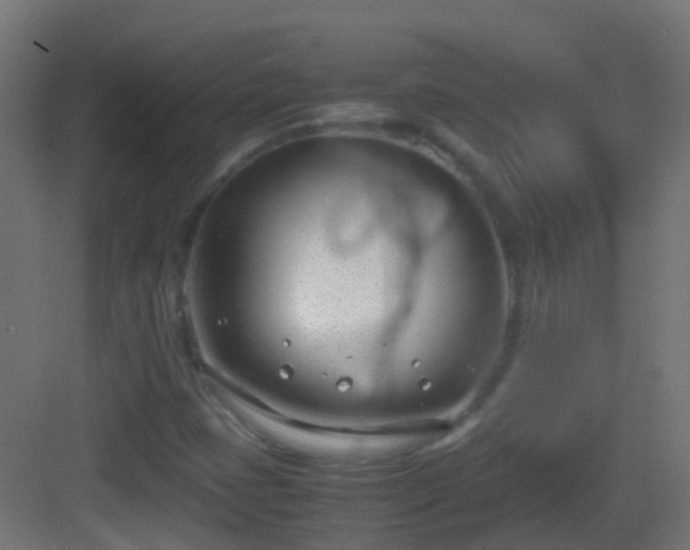 X0000083011401200702091238