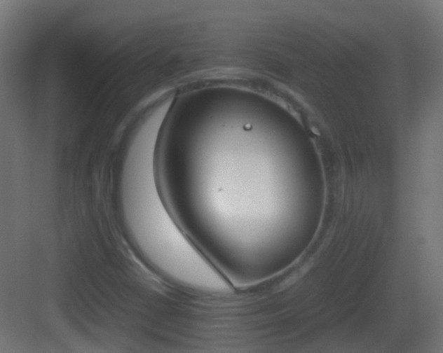 X0000083011402200702091238