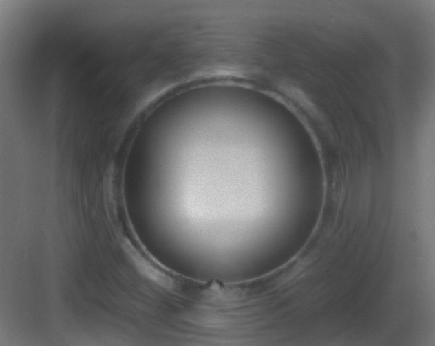 X0000083011404200702091238