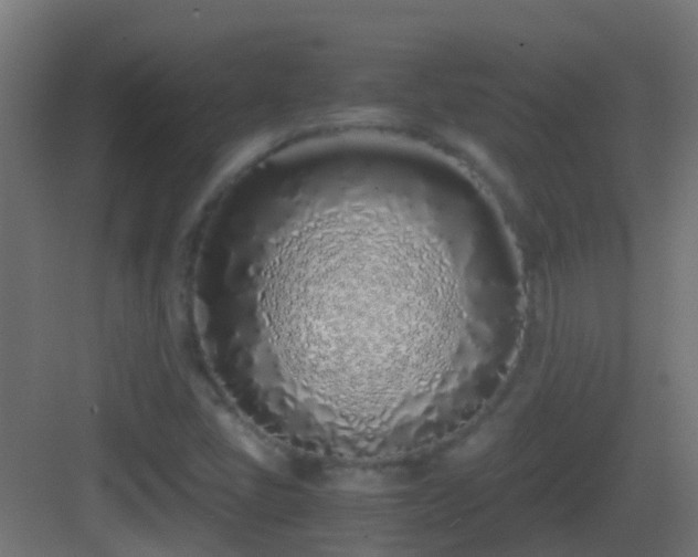 X0000083011405200702091239