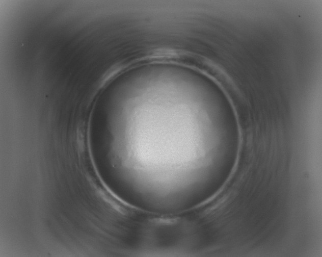 X0000083011409200702091239