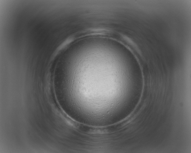 X0000083011411200702091239