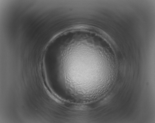 X0000083011417200702091239