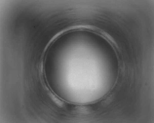 X0000083011420200702091239