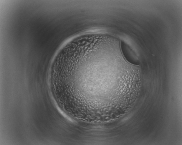 X0000083011421200702091239