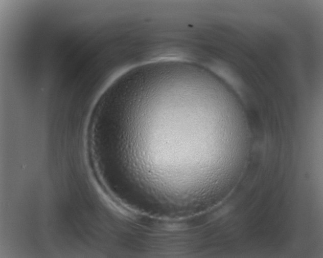 X0000083011423200702091239