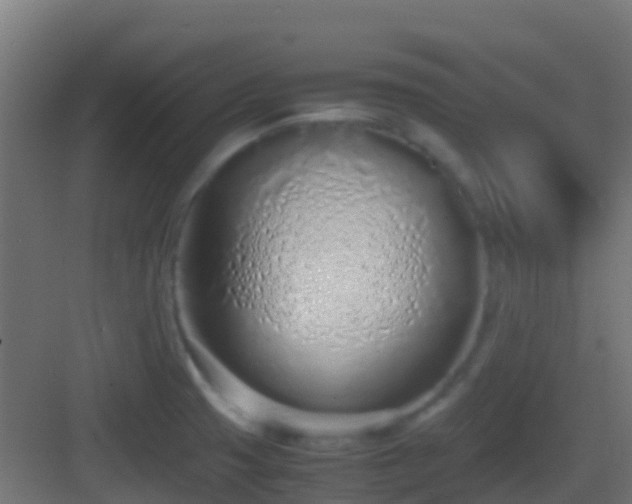 X0000083011425200702091239