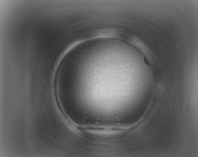 X0000083011427200702091239