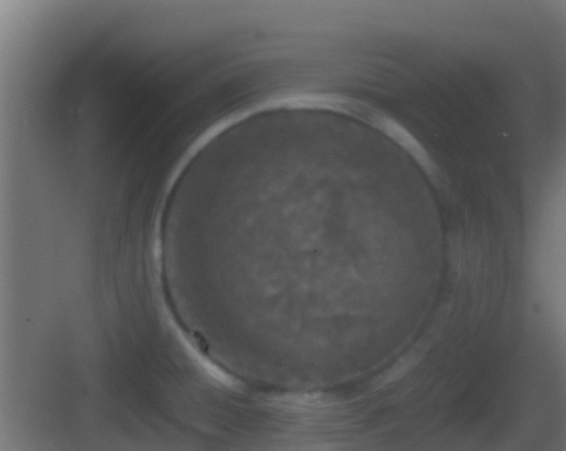 X0000083011428200702091239