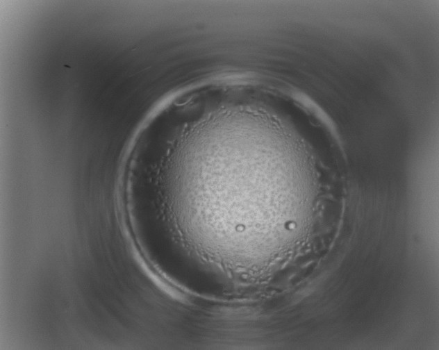 X0000083011429200702091239