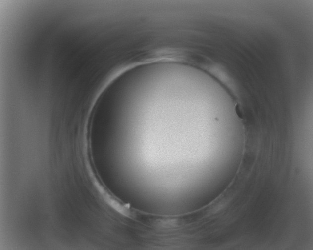 X0000083011431200702091239