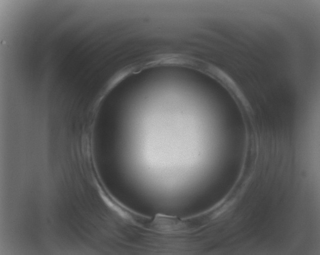 X0000083011433200702091239