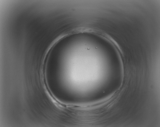 X0000083011434200702091239