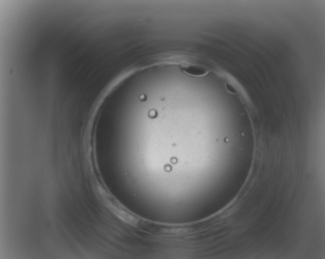 X0000083011435200702091239