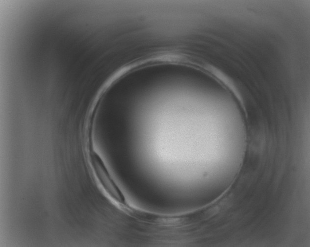 X0000083011437200702091239