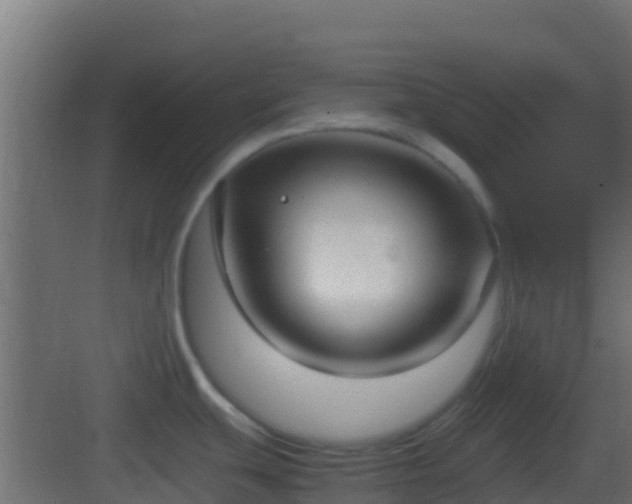 X0000083011439200702091239