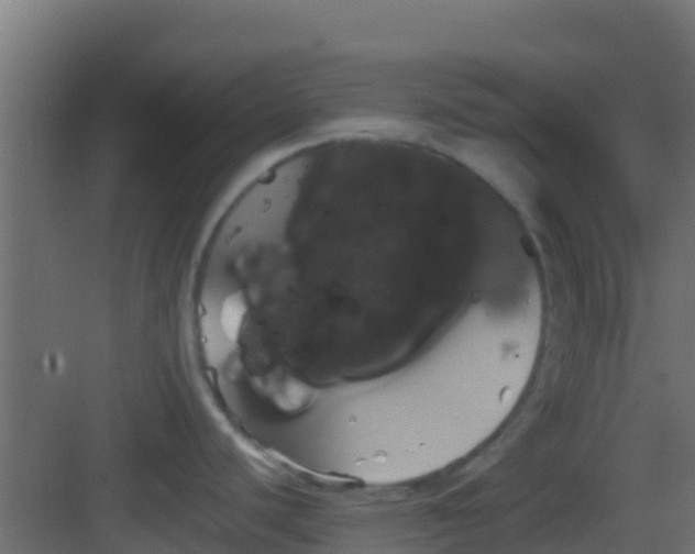 X0000083011440200702091239