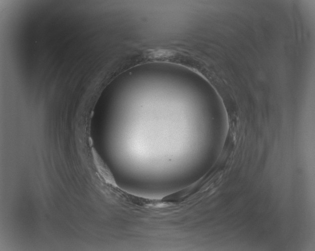 X0000083011441200702091238