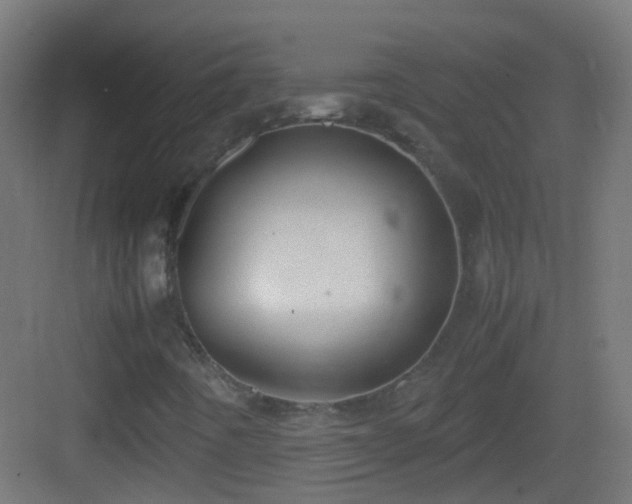 X0000083011442200702091238