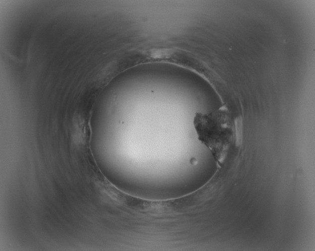 X0000083011443200702091238