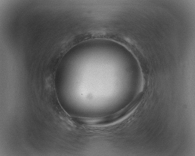 X0000083011445200702091238