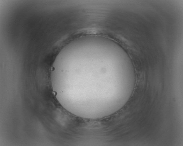 X0000083011446200702091238