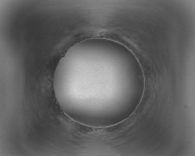 X0000083011447200702091238