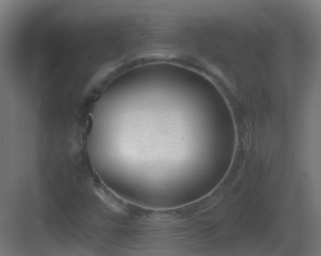 X0000083011448200702091238