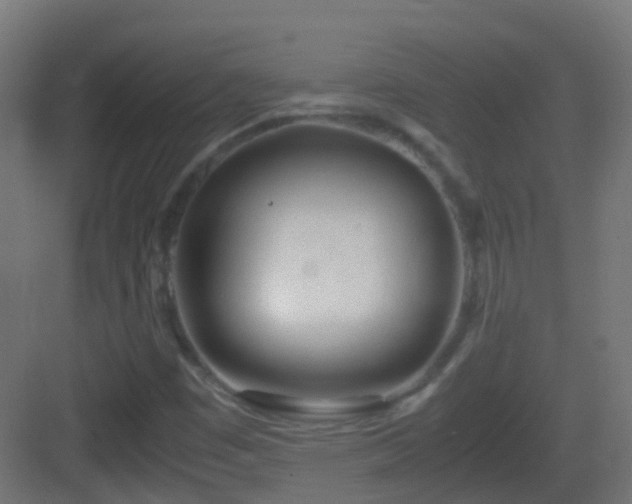 X0000083011449200702091238