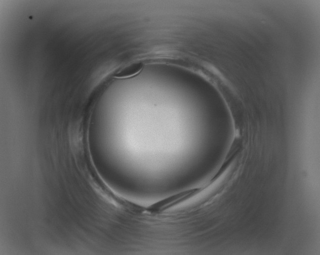 X0000083011450200702091238