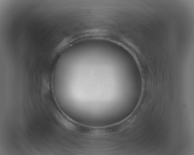 X0000083011451200702091238