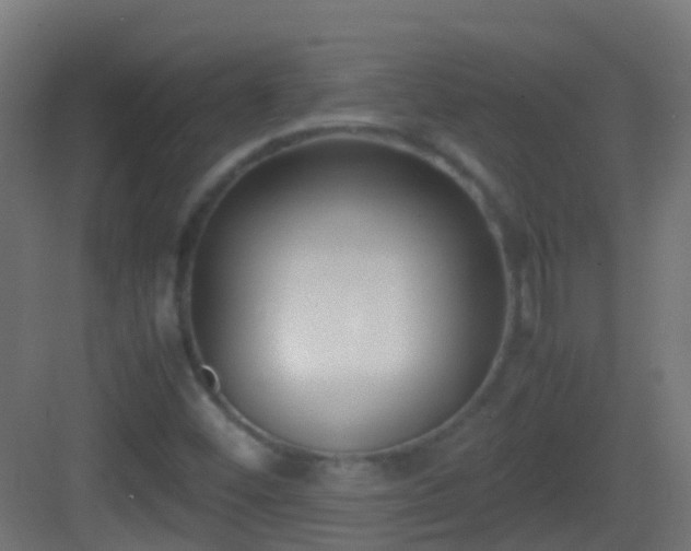 X0000083011452200702091238