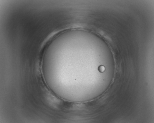 X0000083011454200702091238