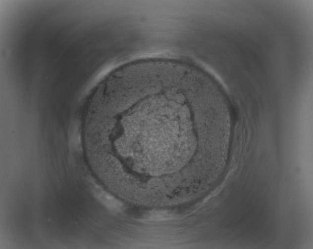 X0000083011455200702091238