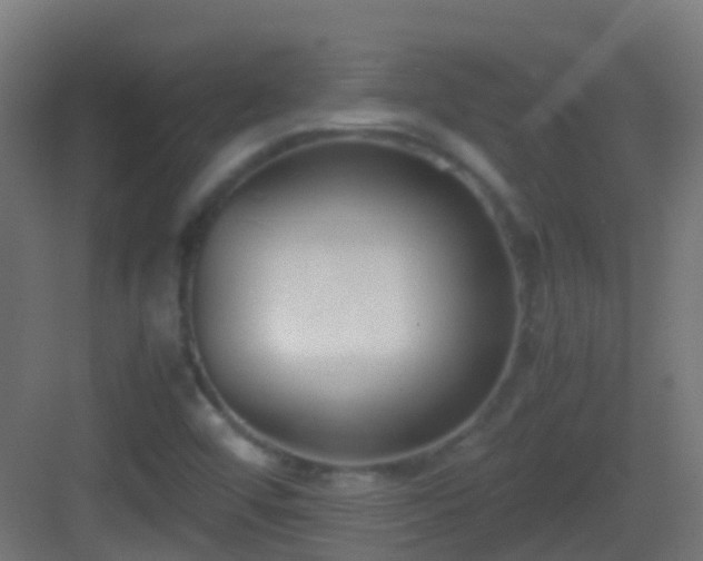 X0000083011456200702091238