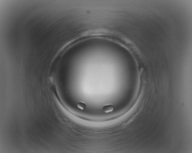 X0000083011457200702091238