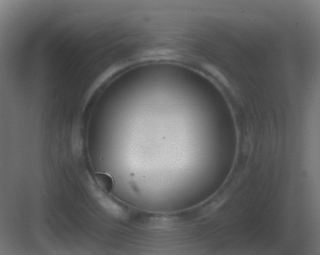 X0000083011458200702091238