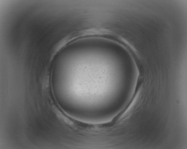 X0000083011459200702091238