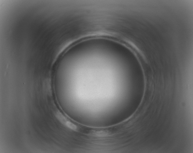 X0000083011460200702091238