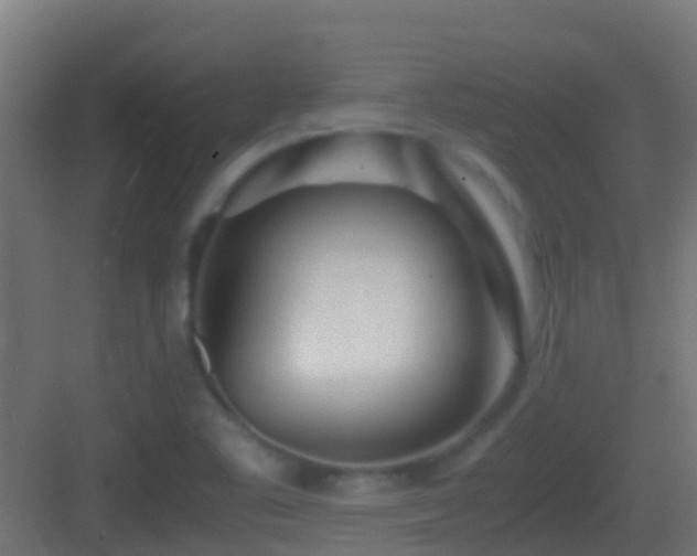 X0000083011461200702091238