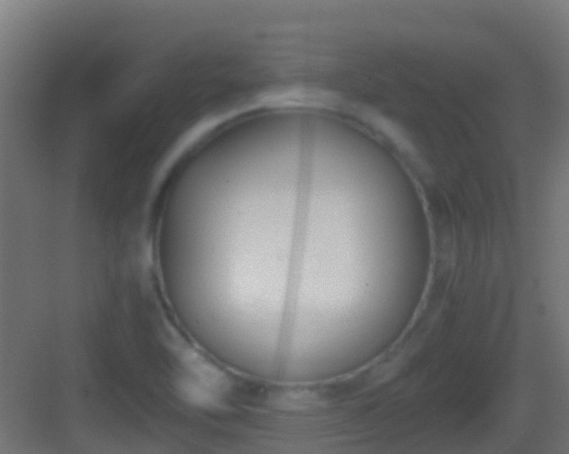 X0000083011462200702091238